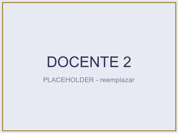 Foto de Nombre Docente 2